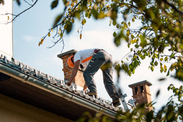 Best Gutter Replacement  in Chenoa, IL