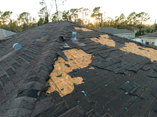 Best 4 Ply Roofing  in Chenoa, IL