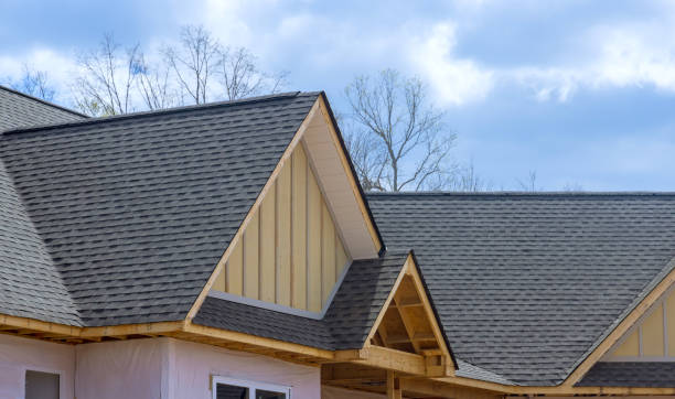 Best Chimney Flashing Repair  in Chenoa, IL