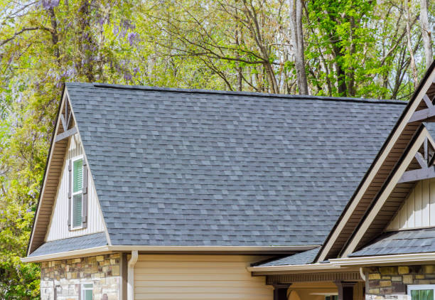 Best Rubber Roofing (EPDM, TPO)  in Chenoa, IL